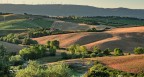 Colline Colline