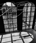 Luce Luce