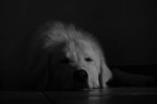 Darkness Darkness