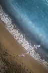 Due gabbiani volano lungo la linea di battigia
Scatto dall'alto sfruttando la costa a picco sul mare...
Canon 5d MK III 85mm a 1.8