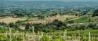 Dintorni San Gimignano. Dintorni San Gimignano.