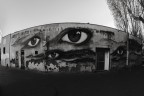 eye eye