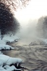 fog fog