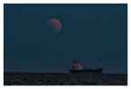 La mia luna La mia luna