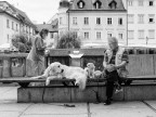 Ljubljana, 2018 Ljubljana, 2018