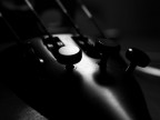 parte del violino parte del violino