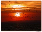 Tramonto a Lazise # 3 Tramonto a Lazise # 3