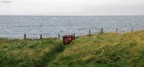 IRLANDA IRLANDA