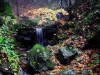 Angoli di respiro nella Foresta Angoli di respiro nella Foresta