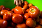 La passata La passata