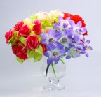 EOS 20D + EF 28-300 IS
1/250 sec
F8
85mm
iso400