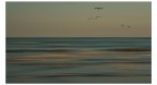 .....volo...shop.... . .....volo...shop.... .