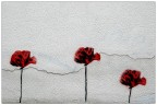 Tre papaveri rossi...