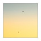 . . . . . .