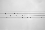 Aria sulla IV corda Aria sulla IV corda