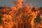 Fuoco Fuoco