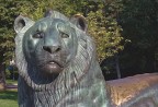 Il leone di Sòfia Il leone di Sòfia