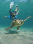 Incontro magico quest'estate per Dario: un grosso maschio di Caretta caretta.

Purtroppo avevo solo una gopro 4 per ritrarlo.

Critiche e commenti welcome