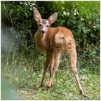 Meglio guardarsi le spalle.