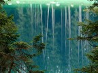 *** Alberi *** *** Alberi ***