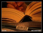 scrivere scrivere