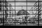 Metropolis Metropolis