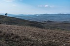 Colline sotto Volterra.2