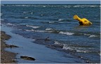 da "il colore giallo" particolare da "il colore giallo" particolare