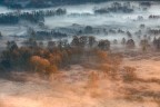 Misty dawn Misty dawn