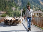 La Transumanza La Transumanza