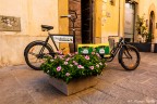 Bici insolita a Citt� Di Castello