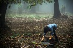 Autunno Autunno