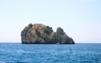 coniglio a mareeee! coniglio a mareeee!