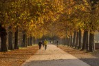 autunno autunno
