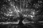 IMG_8420 IMG_8420