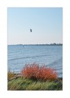 Autunno img.04 Autunno img.04