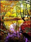 Colors. Colors.