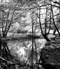 Al parco.. Al parco..