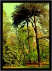 Parco Sempione. Parco Sempione.