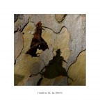 L'ombra fa la foto!!!