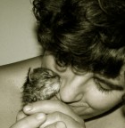 Amore Amore