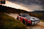 Rally e tanta polvere Rally e tanta polvere