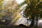 atmosfera autunnale atmosfera autunnale