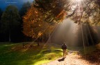 dentro la luce.. dentro la luce..