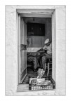 le vite dentro le vite dentro