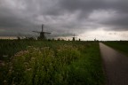 Kinderdijk 4/4