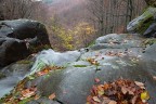 Autunno Autunno