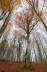 Autunno 2 Autunno 2