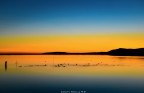 Alba Alba