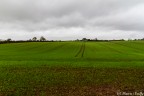 Il campo coltivato Il campo coltivato